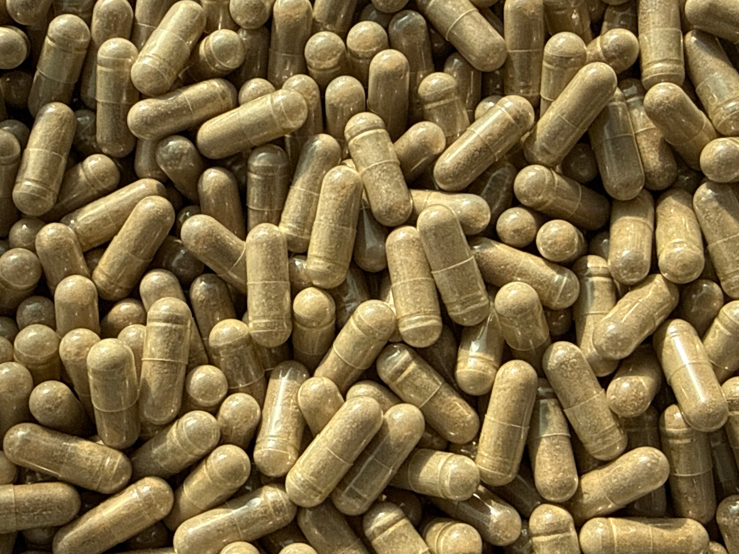 Turkesterone 50% – Bulk Capsules – BulkLab Nutrition